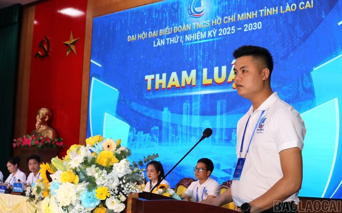 Đại biểu tham luận tại đại hội.