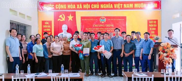 Ra mắt Tổ hội Nông dân nghề nghiệp trồng và chăm sóc chè Bát tiên xã Phong Hải.