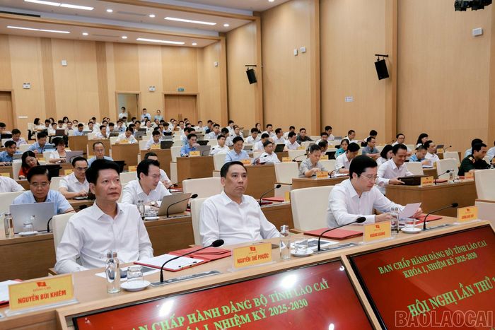 Các đại biểu dự hội nghị.