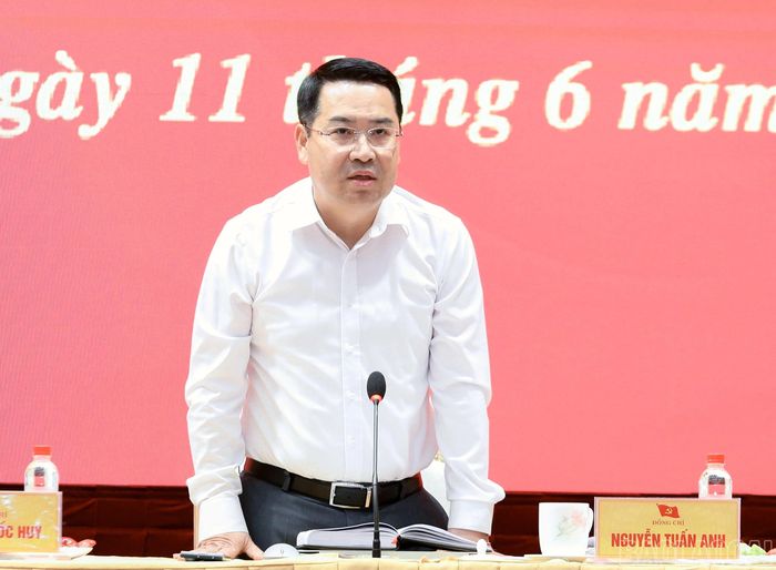 Đồng chí Nguyễn Tuấn Anh - Phó Bí thư Tỉnh ủy, Chủ tịch UBND tỉnh phát biểu tại hội nghị.