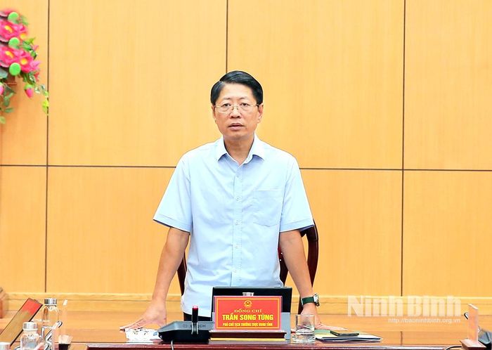 Đồng chí Trần Song Tùng, Ủy viên Ban Thường vụ Tỉnh ủy, Phó Chủ tịch Thường trực UBND tỉnh phát biểu kết luận hội nghị.
