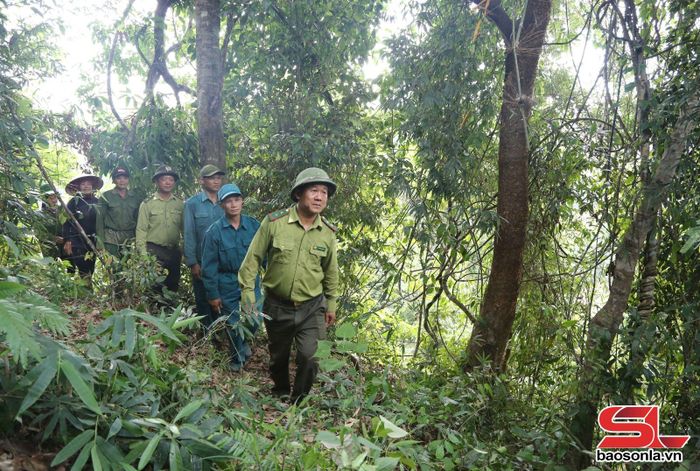 Tổ bảo vệ rừng bản Phải, xã Púng Bánh phối hợp với Kiểm lâm địa bàn tuần tra bảo vệ rừng.