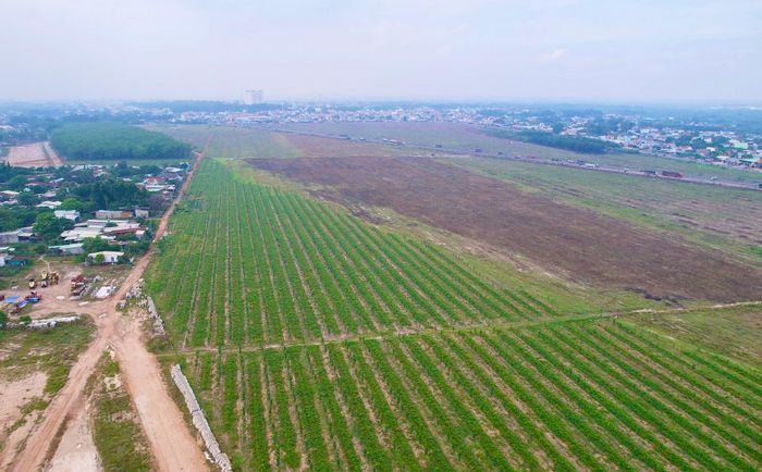 Hiện nay Đồng Nai có thêm phương án cho thuê đất miễn phí đối với một số trường hợp.