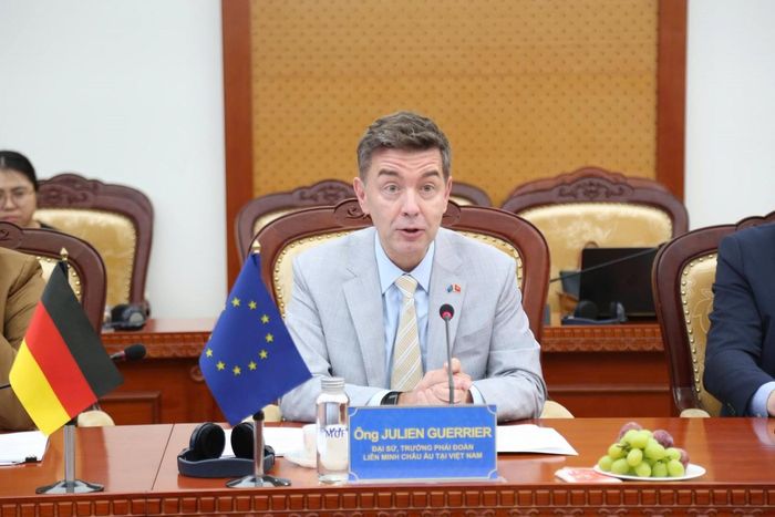 Đại sứ, Trưởng Phái đoàn EU tại Việt Nam Julien Guerrier phát biểu. Ảnh: Đức Minh