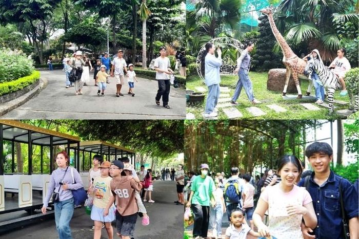 Những khoảnh khắc gắn kết yêu thương của các gia đình khi cùng con em khám phá thiên nhiên tại Thảo Cầm Viên Sài Gòn.