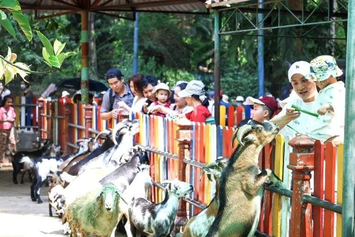 Thiếu nhi và phụ huynh thích thú tương tác với các loài động vật thân thiện tại Thảo Cầm Viên Sài Gòn.