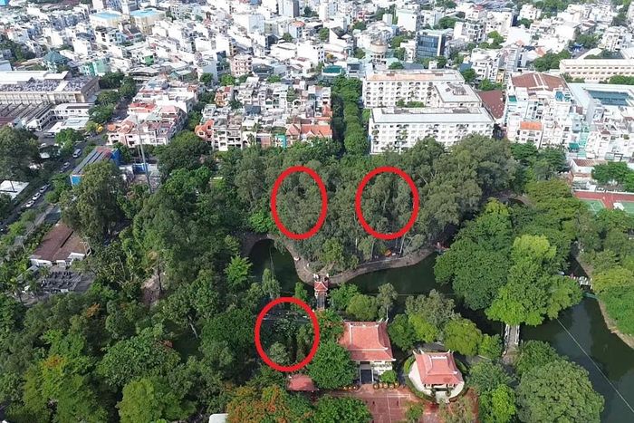 Khu vực có thể là các rãnh chôn tập thể liệt sĩ tại công viên Lê Thị Riêng. Ảnh: Thạc Hiếu