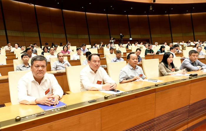 Các đại biểu tham dự hội nghị