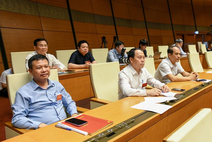 Đại biểu tham dự hội nghị