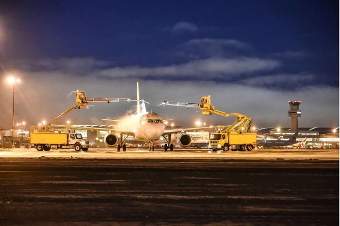 Chuyên cơ chở lô heo nái "cụ kỵ, ông bà chất lượng cao" từ Canada đã về tới Cảng Hàng không quốc tế Tân Sơn Nhất