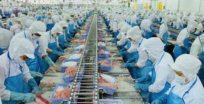 Nhiều thị trường có nhu cầu mạnh mẽ đối với các sản phẩm chủ lực như tôm, cá tra, cua, ghẹ và nhuyễn thể.