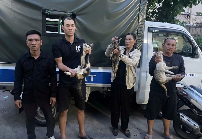 Các đối tượng khai nhận đã tổ chức hoạt động bẫy bắt, thu gom mèo trên nhiều địa bàn trong 3 năm qua.
