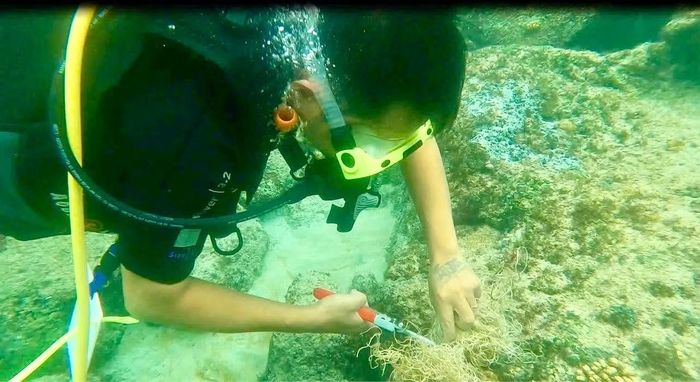 Xử lý rác thải, lưới cá bám vào rạn san hô.