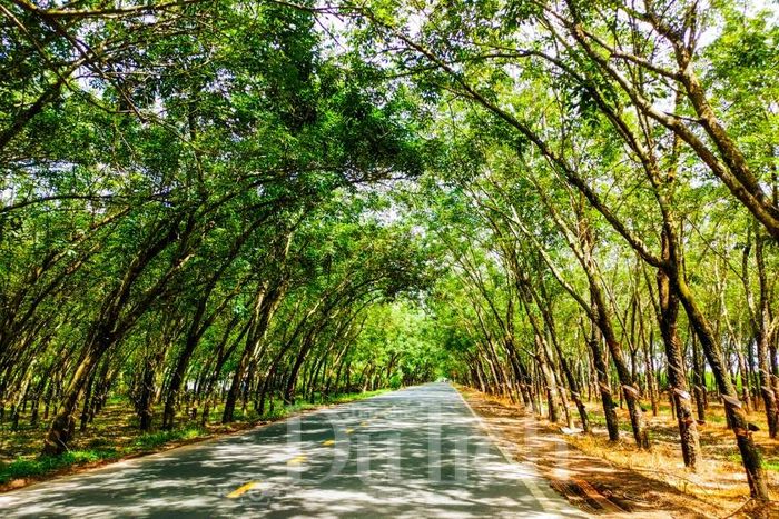 Nơi đây còn lưu giữ nhiều di tích lịch sử quan trọng, tiêu biểu là hệ thống địa đạo được xây dựng năm 1961, gắn với phong trào cách mạng địa phương.