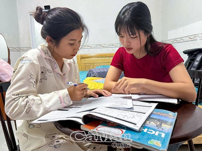  Học sinh Trường THPT Viên An tranh thủ trao đổi kiến thức, ôn tập trước kỳ thi tại nơi lưu trú.