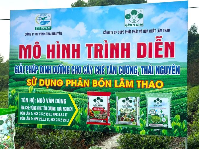 Mô hình trình diễn sử dụng “combo” phân bón Supe Lâm Thao được triển khai tại nhiều xã trên địa bàn tỉnh Thái Nguyên và bước đầu ghi nhận nhiều kết quả khả quan