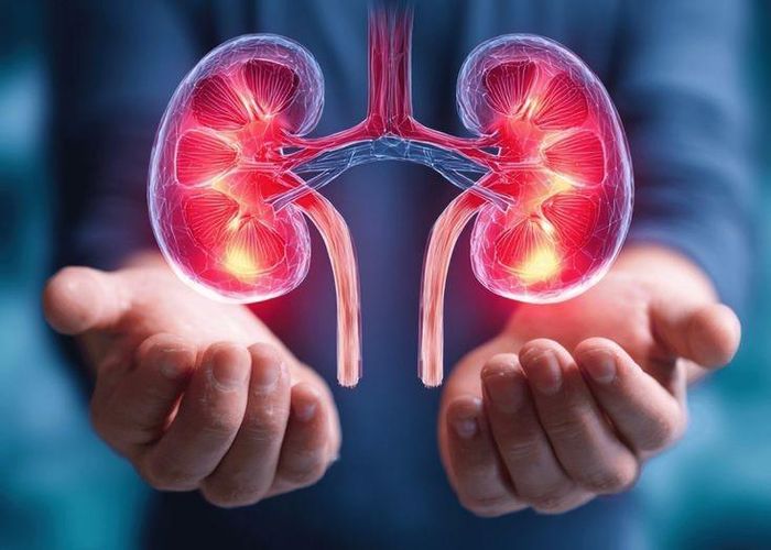 Khi thận khỏe mạnh, bạn sẽ ít khi gặp tình trạng đau lưng âm ỉ hoặc mỏi lưng vào ban đêm. Ảnh minh họa