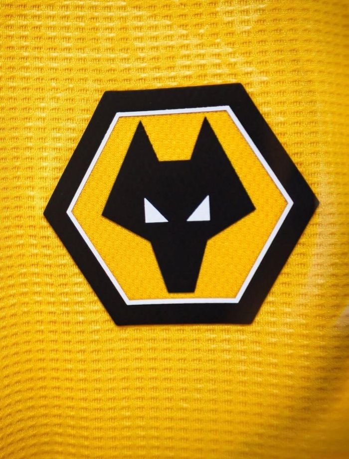 Wolves thay tướng trước chiến dịch Championship 2026/27