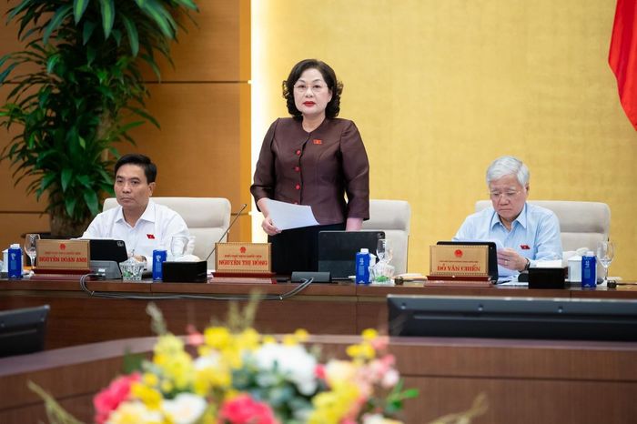 Phó Chủ tịch Quốc hội Nguyễn Thị Hồng phát biểu tại phiên họp.