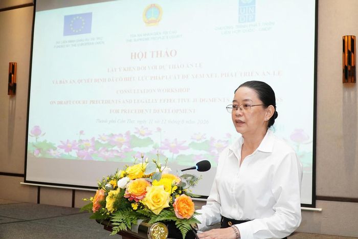 Bà Đặng Duy Mỹ Ngọc, Thẩm phán, Phó Trưởng phòng Giám đốc kiểm tra TAND tỉnh Vĩnh Long trình bày tham luận góp ý đối với các dự thảo án lệ dân sự.