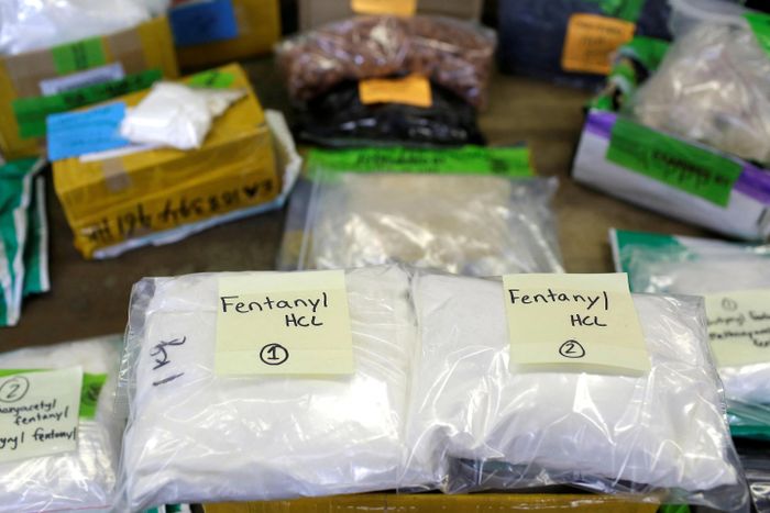 Xưởng sản xuất và tiền chất Fentanyl thu giữ tại Myanmar