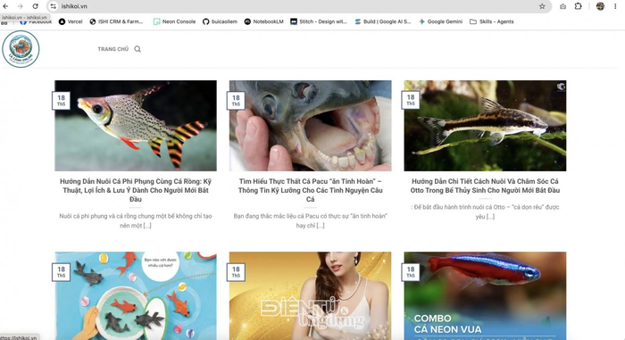 Giao diện website đang hoạt động trên tên miền ishikoi.vn sau khi tên miền này được đăng ký lại bởi một chủ thể khác.