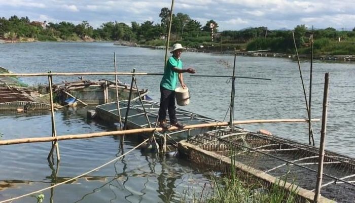 Tại khu vực đầm phá, phần lớn các thông số môi trường hiện vẫn nằm trong giới hạn cho phép để thả nuôi các đối tượng thủy sản nước lợ mặn
