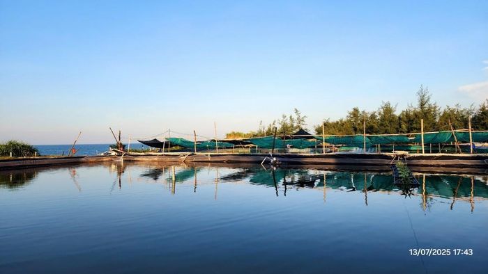 Chủ động quản lý môi trường nuôi góp phần bảo đảm an toàn sản xuất...