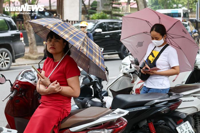 Giữa cơn mưa chiều Hà Nội, hàng trăm phụ huynh vẫn kiên nhẫn đứng chờ trước cổng điểm thi THPT Phan Đình Phùng (phường Ba Đình). Dù còn gần một giờ nữa mới hết thời gian làm bài, nhiều người vẫn không rời đi, lặng lẽ dõi theo cánh cổng trường với tâm trạng thấp thỏm, mong ngóng con em hoàn thành tốt bài thi.