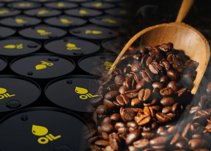 Giá cà phê và giá dầu cùng bật tăng trước những diễn biến mới. Ảnh: MXV