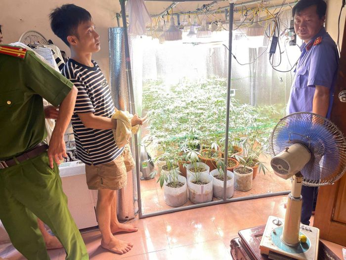 Hệ thống trồng cây cần sa trong nhà của đối tượng Hoàng Quý Nhân. Ảnh: Cơ quan Công an.