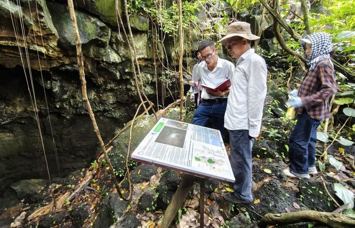 PGS.TS Trần Tân Văn (người đội mũ), Chủ tịch Mạng lưới Công viên địa chất toàn cầu UNESCO Việt Nam, khảo sát hệ thống hang động núi lửa (hang C4) trong vùng Công viên địa chất toàn cầu UNESCO Đắk Nông (xã Nam Đà, tỉnh Lâm Đồng). Ảnh: Nguyễn Huy Thành – TTXVN