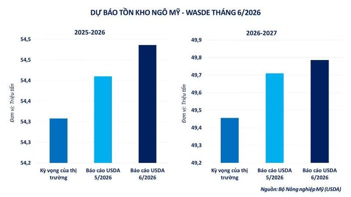 Dự báo tồn kho ngô Mỹ.