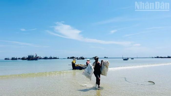 Khu vực biển có nhiều tàu đắm, mỗi ngày, ngư dân vẫn khai thác nguồn lợi hải sản.