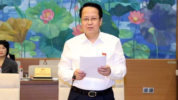 Phó Chủ nhiệm Ủy ban Dân nguyện và Giám sát Hoàng Anh Công phát biểu.