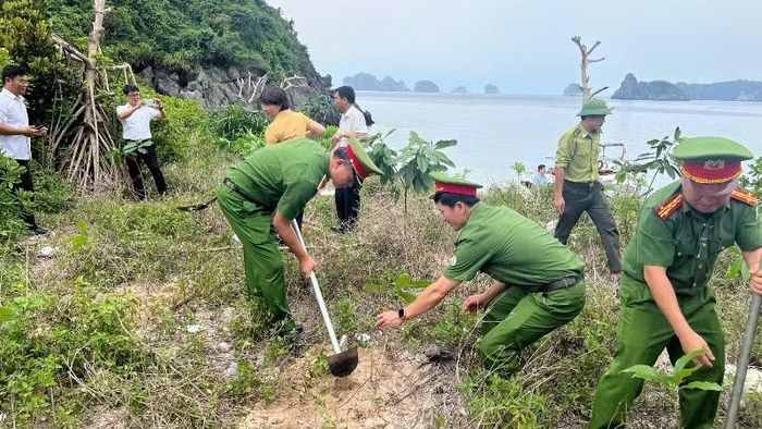 Các đại biểu trồng cây xanh trên đảo.