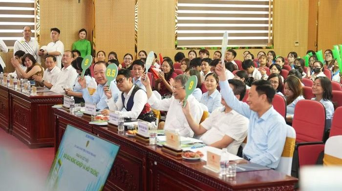 Tại vòng thi trực tiếp, các đội đã trải qua ba phần thi gồm kiến thức, xử lý tình huống và hùng biện.