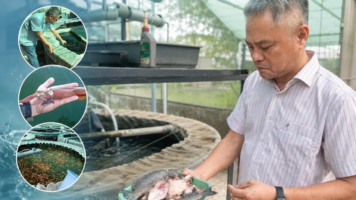 Thành quả từ mô hình nông nghiệp đô thị, nơi nguồn tài nguyên được tái tạo để mang lại giá trị bền vững.