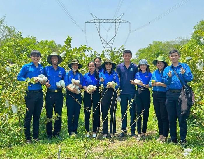 Vườn ổi xanh mát giữa vùng công nghiệp đang phát triển mạnh.