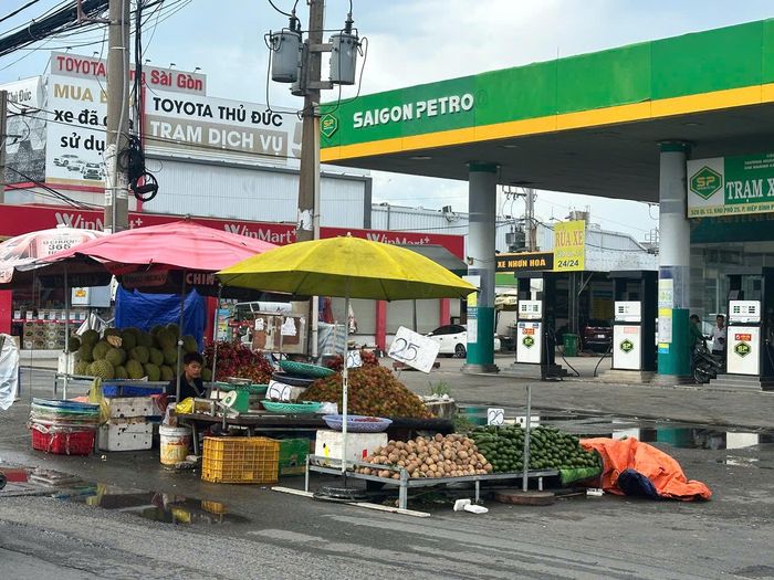 Trái cây bày bán trên quốc lộ 13 (phường Hiệp Bình) với nhiều chủng loại, những vắng người mua. Ảnh: ĐỨC TRUNG
