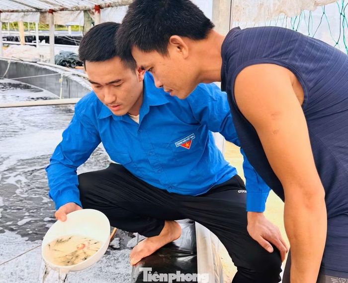 Trang trại nuôi tôm của Nguyễn Hữu Thắng.