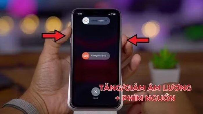  Thực hiện khởi động lại máy. 