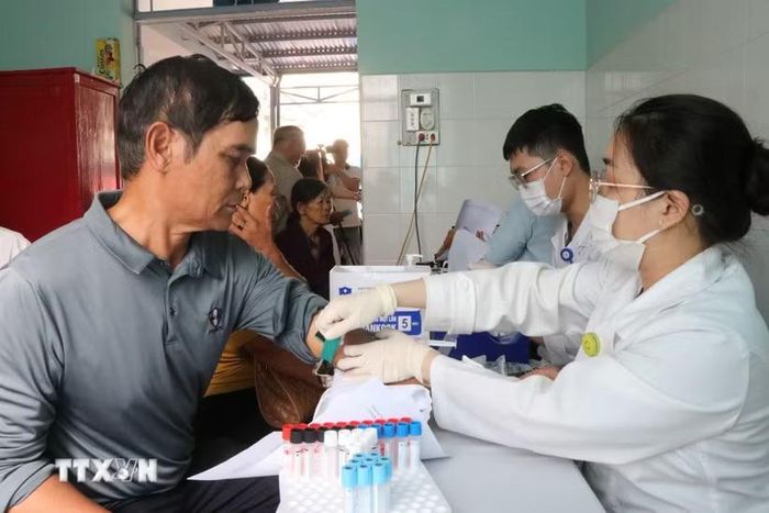 Bác sỹ thực hiện lấy máu để tầm soát bệnh cho đối tượng người cao tuổi. (Ảnh: Nguyên Dung/TTXVN)