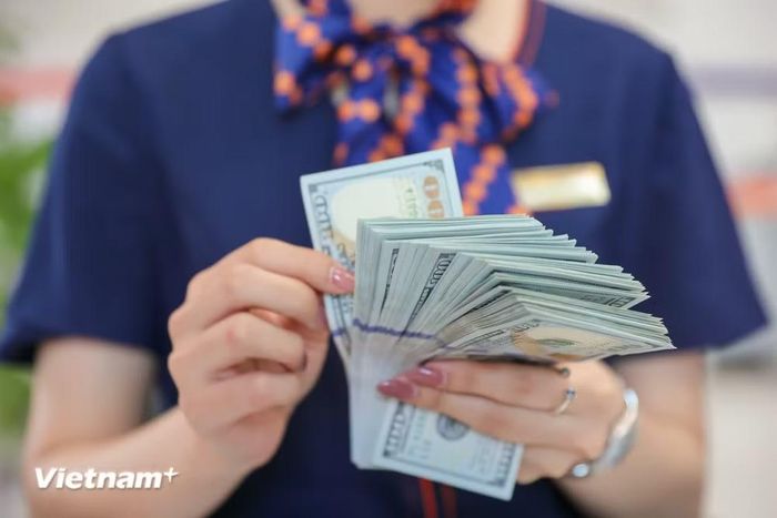 Tỷ giá được kỳ vọng dần ổn định. (Ảnh: Vietnam+)