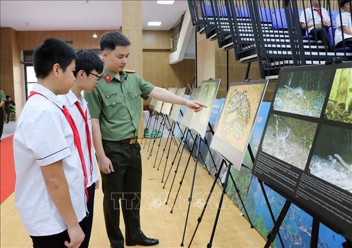 Học sinh tham quan Triển lãm ảnh tuyên truyền với chủ đề “Chung tay gìn giữ môi trường biển xanh – sạch – đẹp”.
