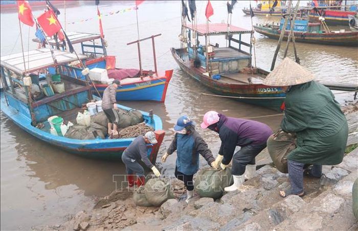 Ngư dân vận chuyển hải sản tại cảng cá Tân Sơn. Ảnh tư liệu - minh họa: TTXVN