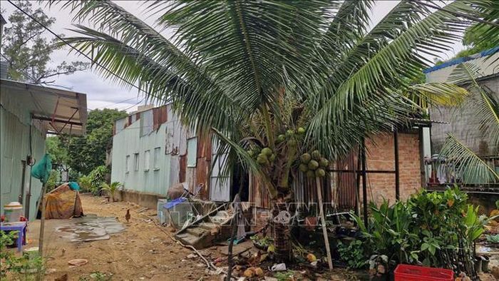 Một trong những căn nhà hình thành trên diện tích rừng ông Thạch Nam lấn chiếm. Ảnh: Huỳnh Sơn/TTXVN
