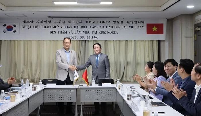 Chủ tịch UBND tỉnh Gia Lai Phạm Anh Tuấn làm việc với đại diện Hiệp hội Doanh nghiệp vừa và nhỏ Hàn Quốc.