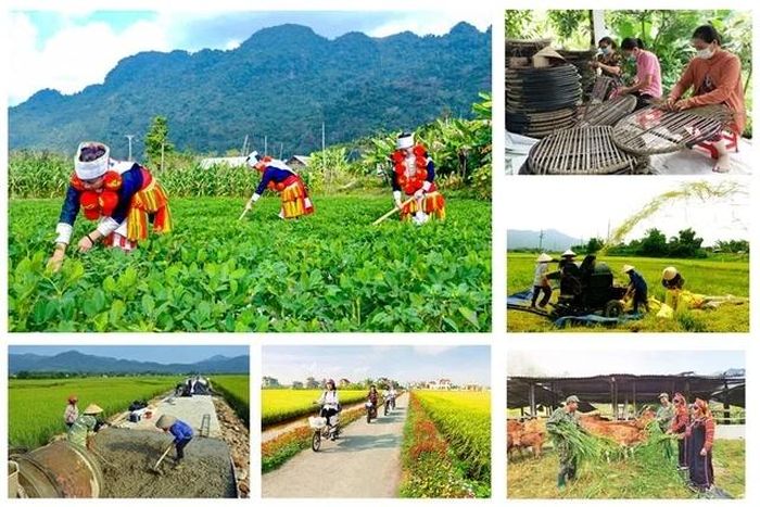 Ảnh nguồn Internet