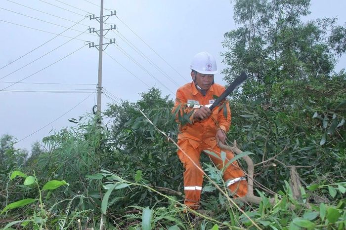 Nhân viên Điện lực Hoằng Hóa chặt tỉa cây tại các vị trí trọng điểm có nguy cơ ảnh hưởng đến an toàn lưới điện.